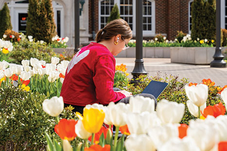 A student studying outside. Links to Donor-Advised Funds